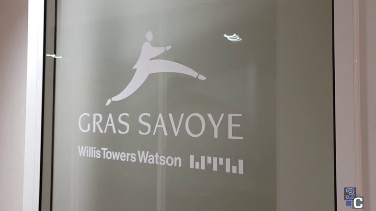 Unravelling the Benefits of Gras-Savoye: Optimizing Your Optical Experience