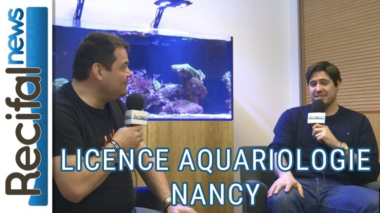 Boost Your Optical Career with a Licence Professionnelle Nancy: A Comprehensive Guide